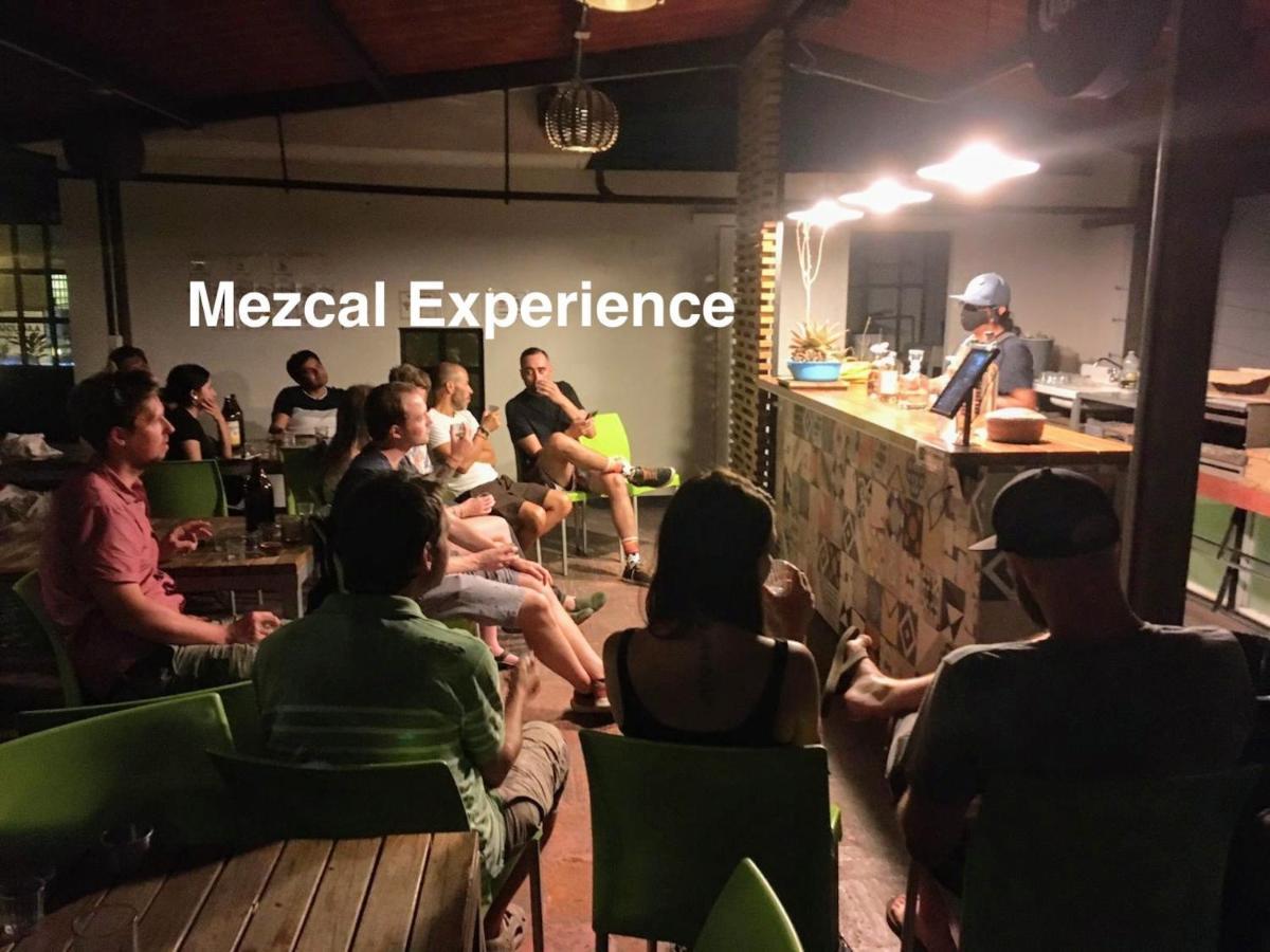 Casa Angel Hostel Oaxaca 外观 照片